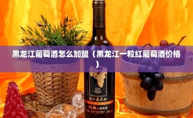 黑龍江葡萄酒怎么加盟(黑龍江一粒紅葡萄酒價格)